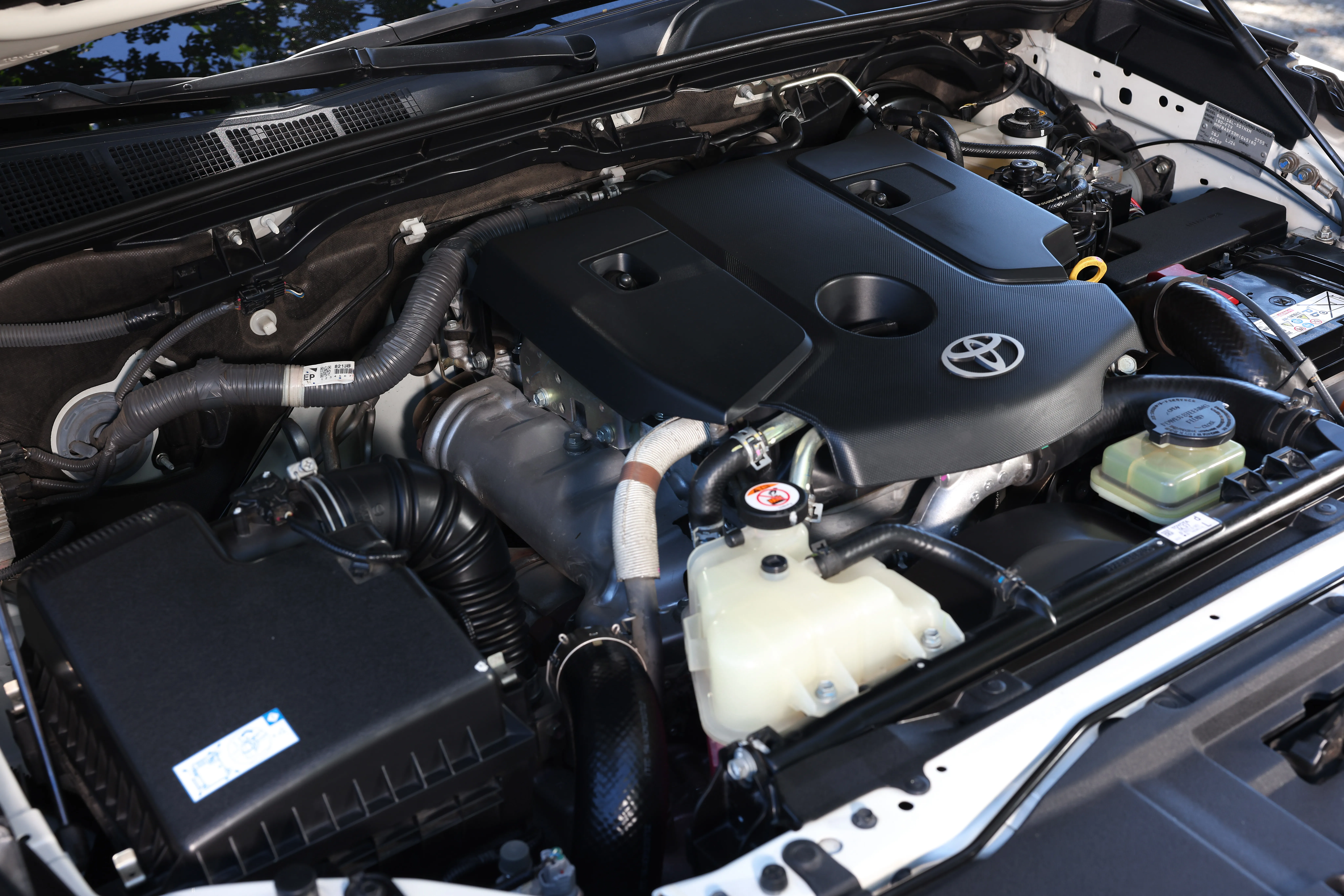 Gallery Thumbnail 14